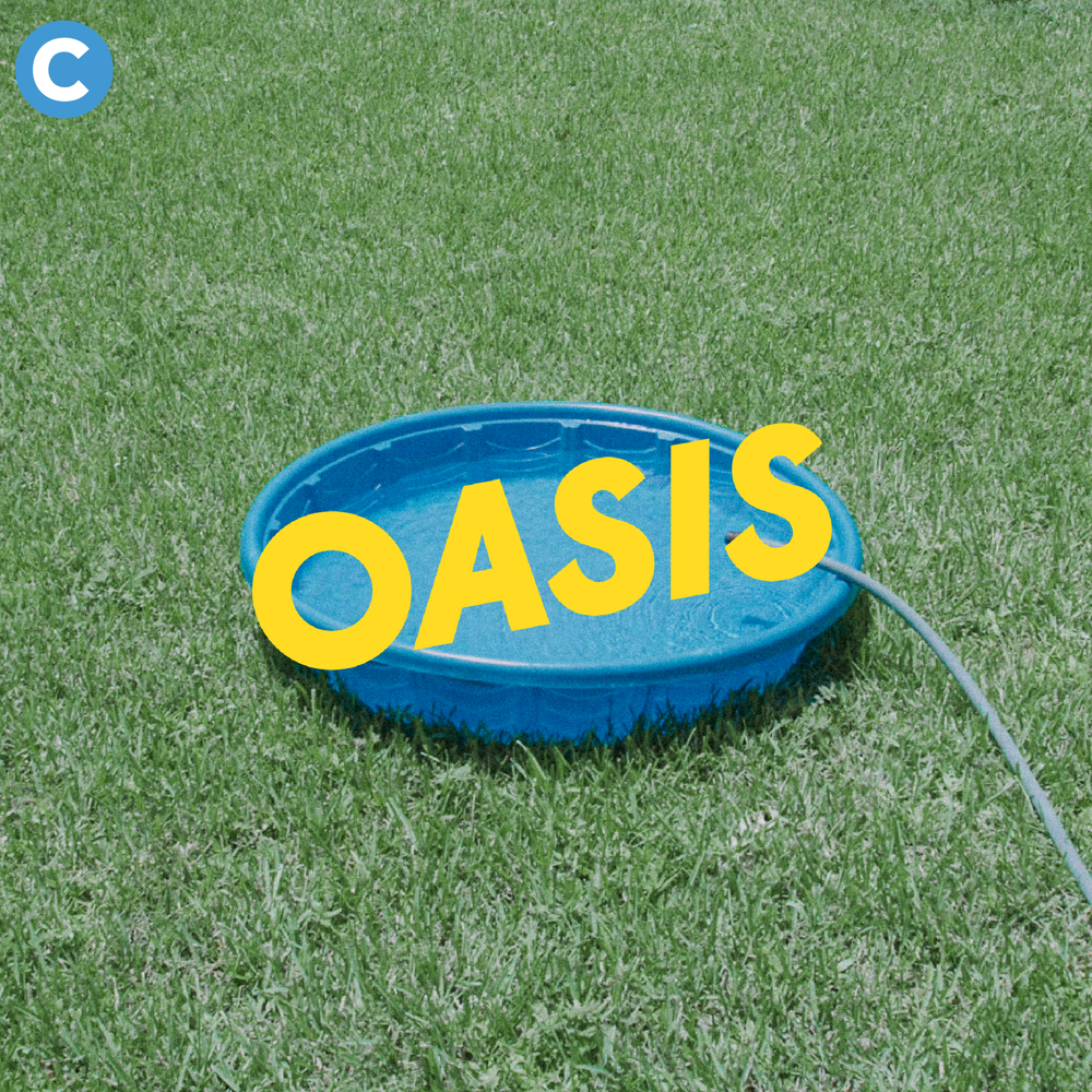 converse oasis converse oasis